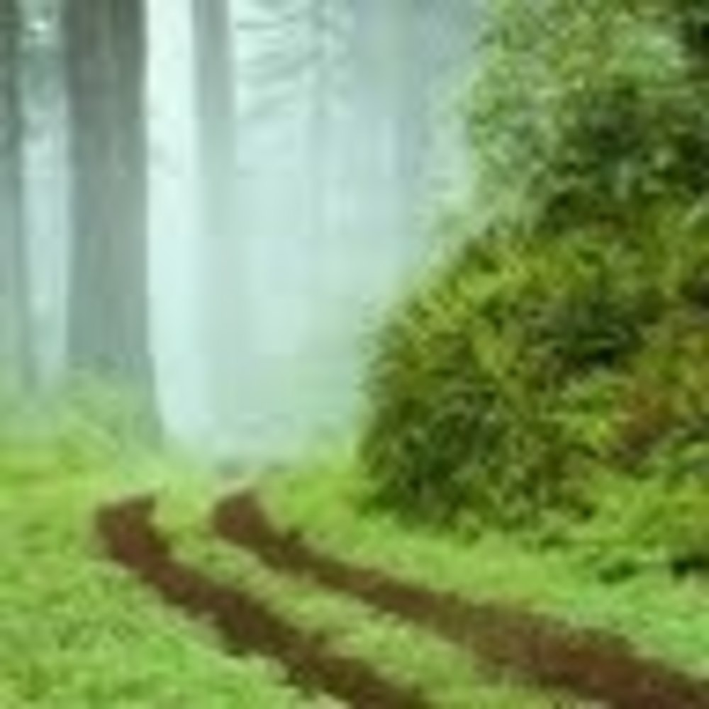 Meet your Posher, Fredy